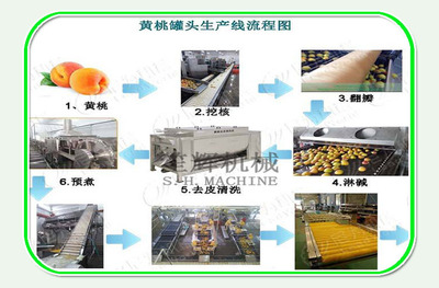 笙辉水果橙子橘子黄桃果蔬加工流水线设备 从鲜果到果蔬罐头的全链路解决方案